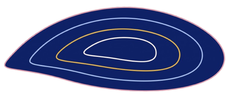 Meniscus