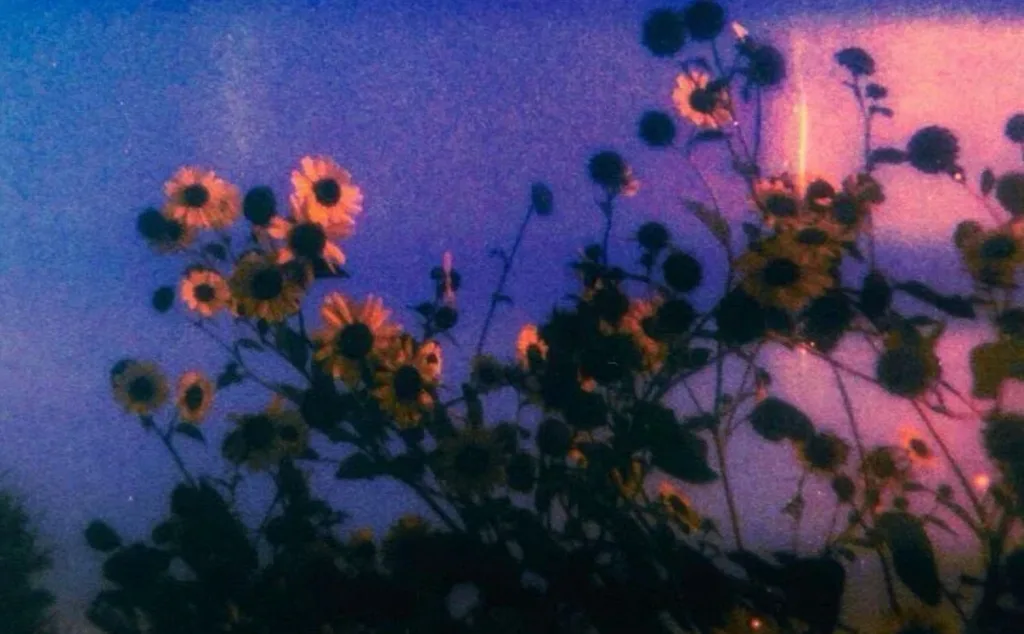 header